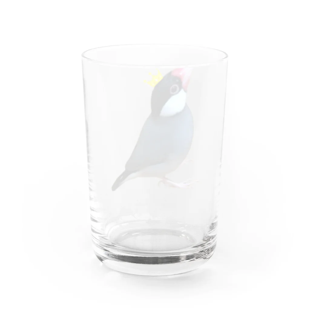 harupink🌸ペット似顔絵illustの文鳥の王様 Water Glass :back