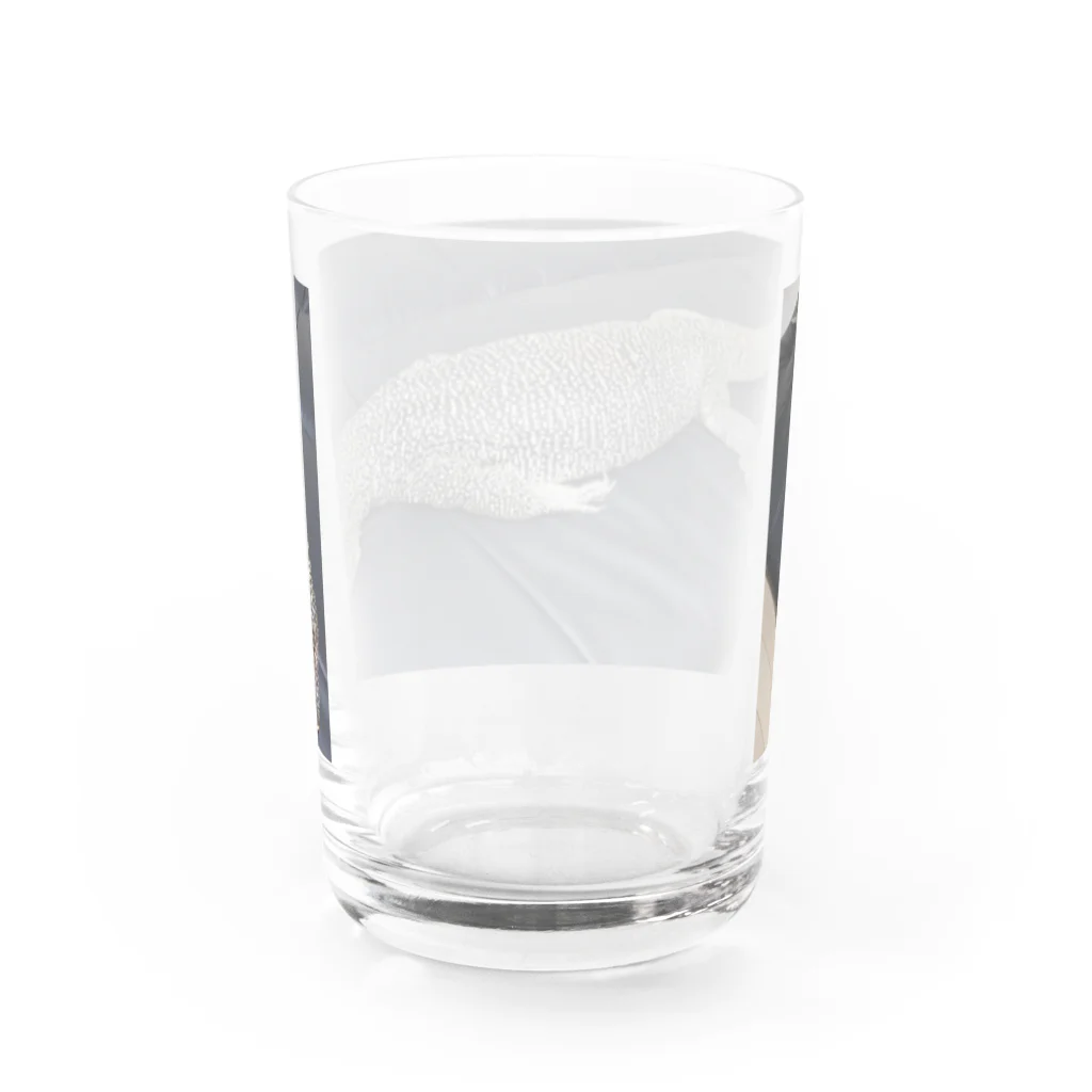 ちゃんねるおミズのおミズぐっず(マングローブモニター) Water Glass :back