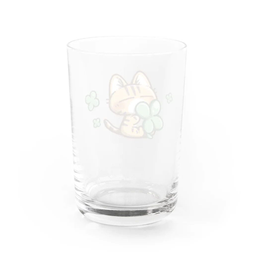 ねこ猫屋さんの茶トラ猫さんとクローバー Water Glass :back