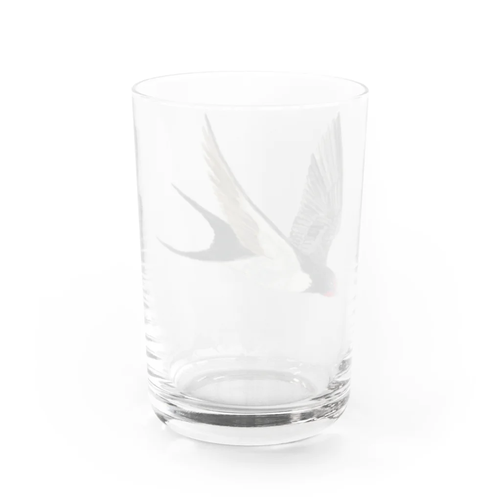 Coshi-Mild-Wildのツバメ Water Glass :back