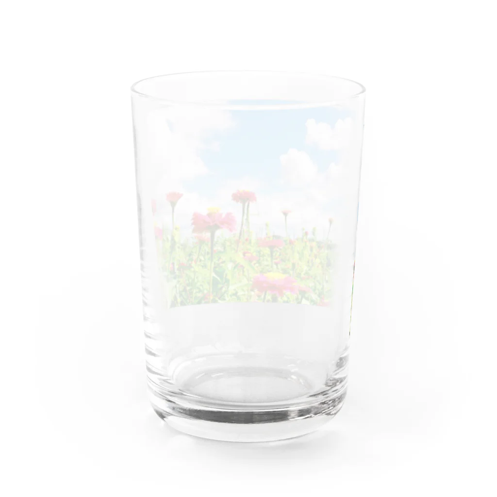 Oli22のPEACE Water Glass :back