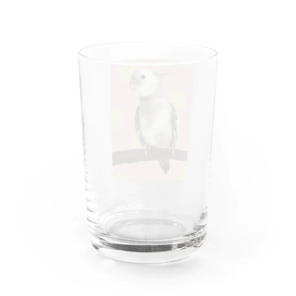 オカメインコのつみくんのオカメインコのつみくん Water Glass :back