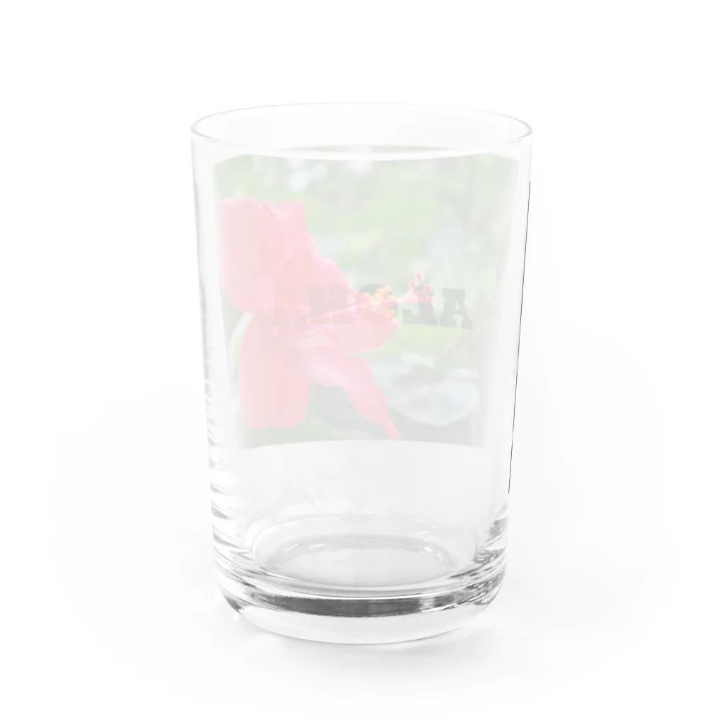 Aloha Blue Skyのハイビスカス Water Glass :back