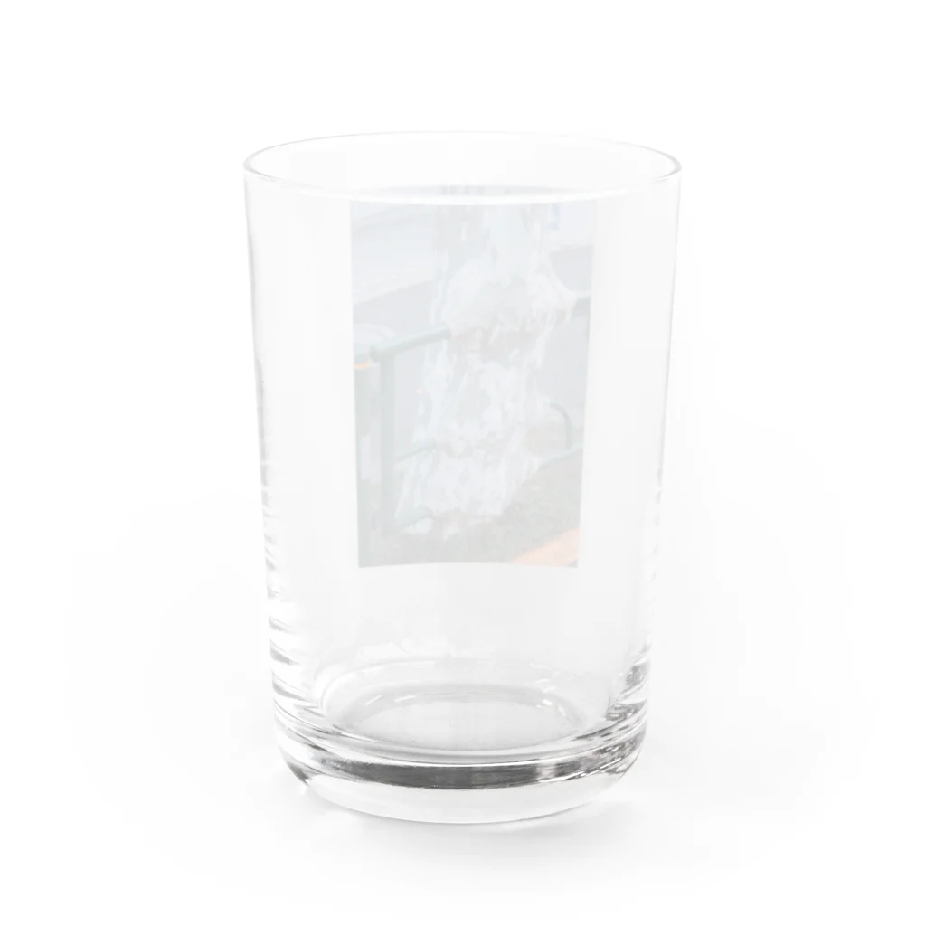 Kentaro Takakiのショップの完全に人工物を吸収する自然　クローズアップVer. Water Glass :back