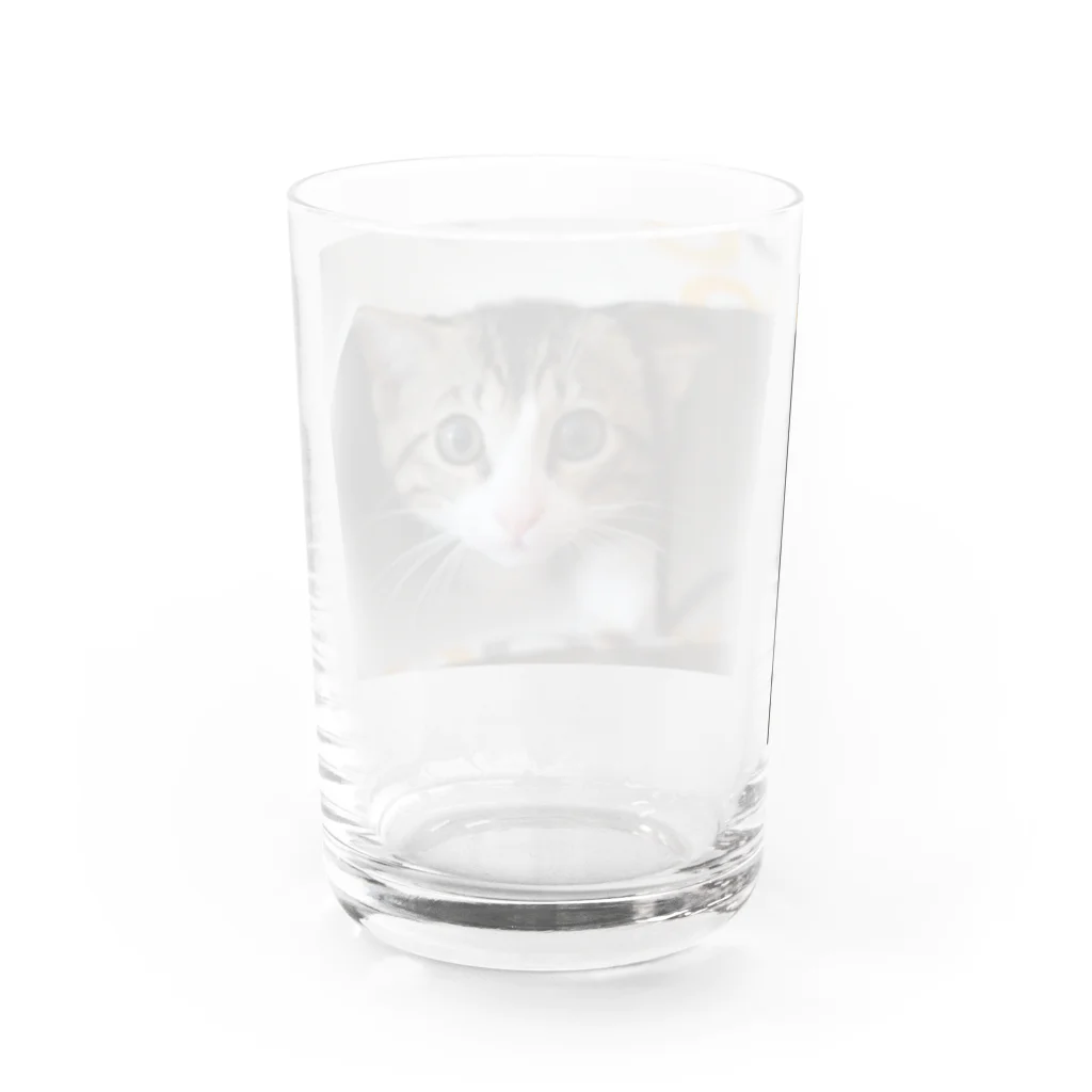 Honey.coのコロくん Water Glass :back