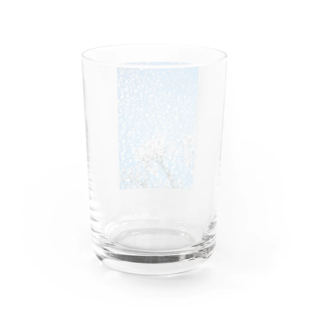 niwakungfuのsakura Water Glass :back