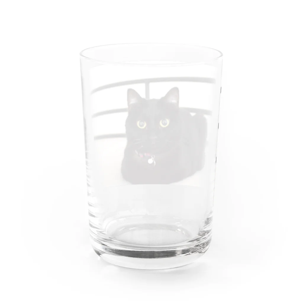 黒猫のうめたんの黒猫のうめたん Water Glass :back