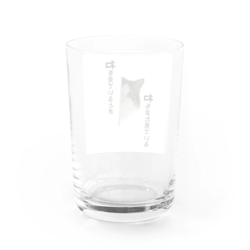 colorisのネコが見ている時… Water Glass :back