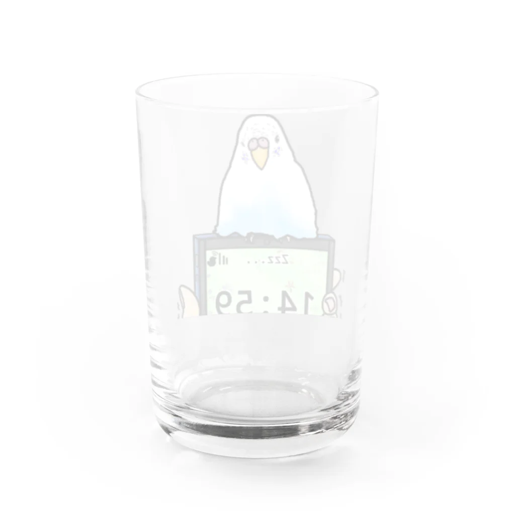 Lily bird（リリーバード）の「小鳥が眠りたがってるんだ」（インコ） Water Glass :back