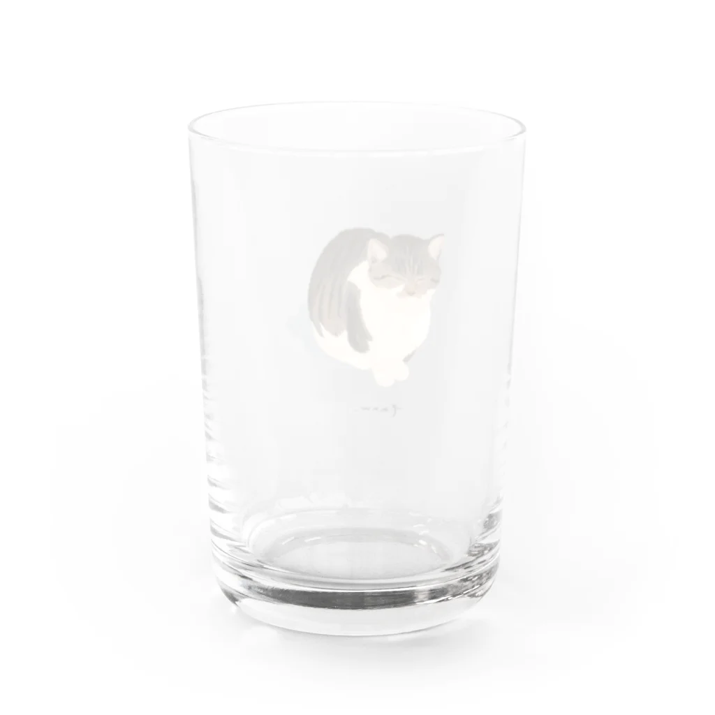 たぬ〜ショップのたぬップ Water Glass :back