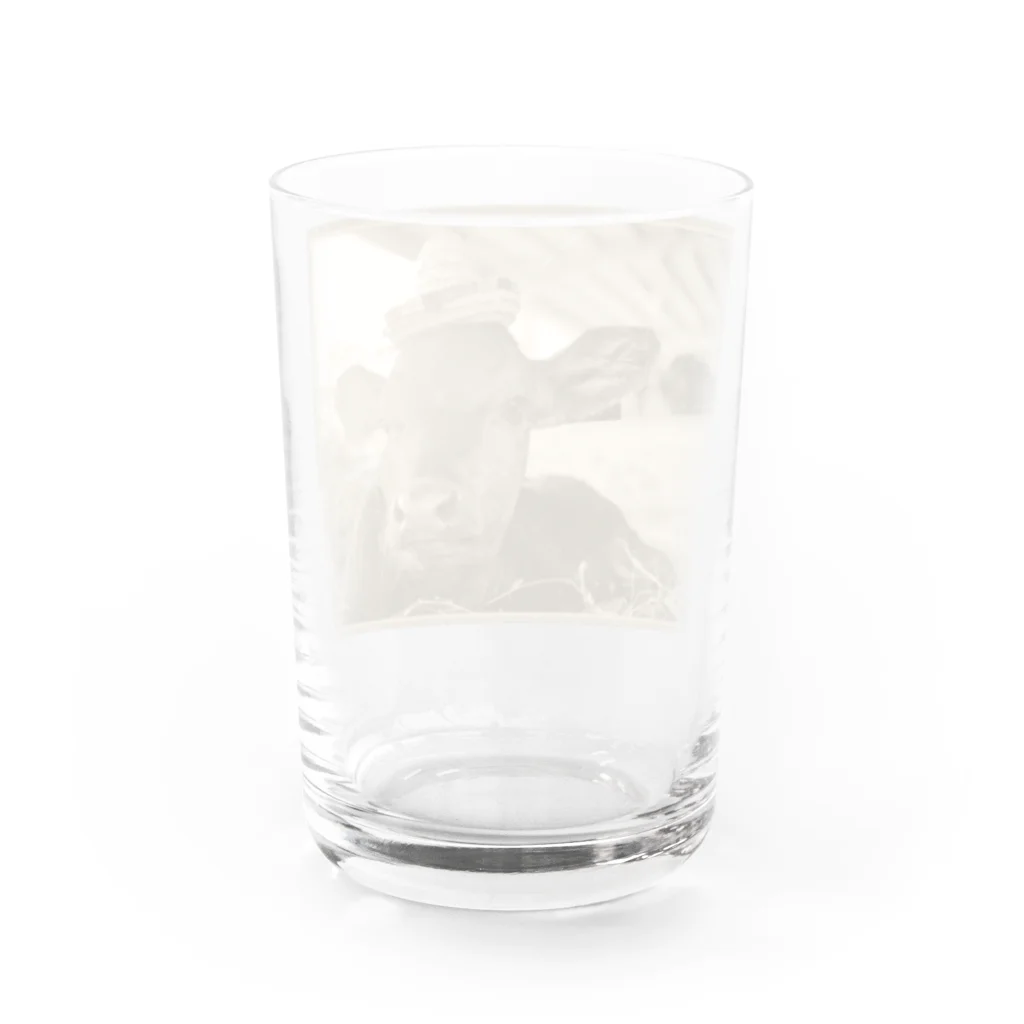 Happy cows♪のHappy calf Yuu-kun! Water Glass :back