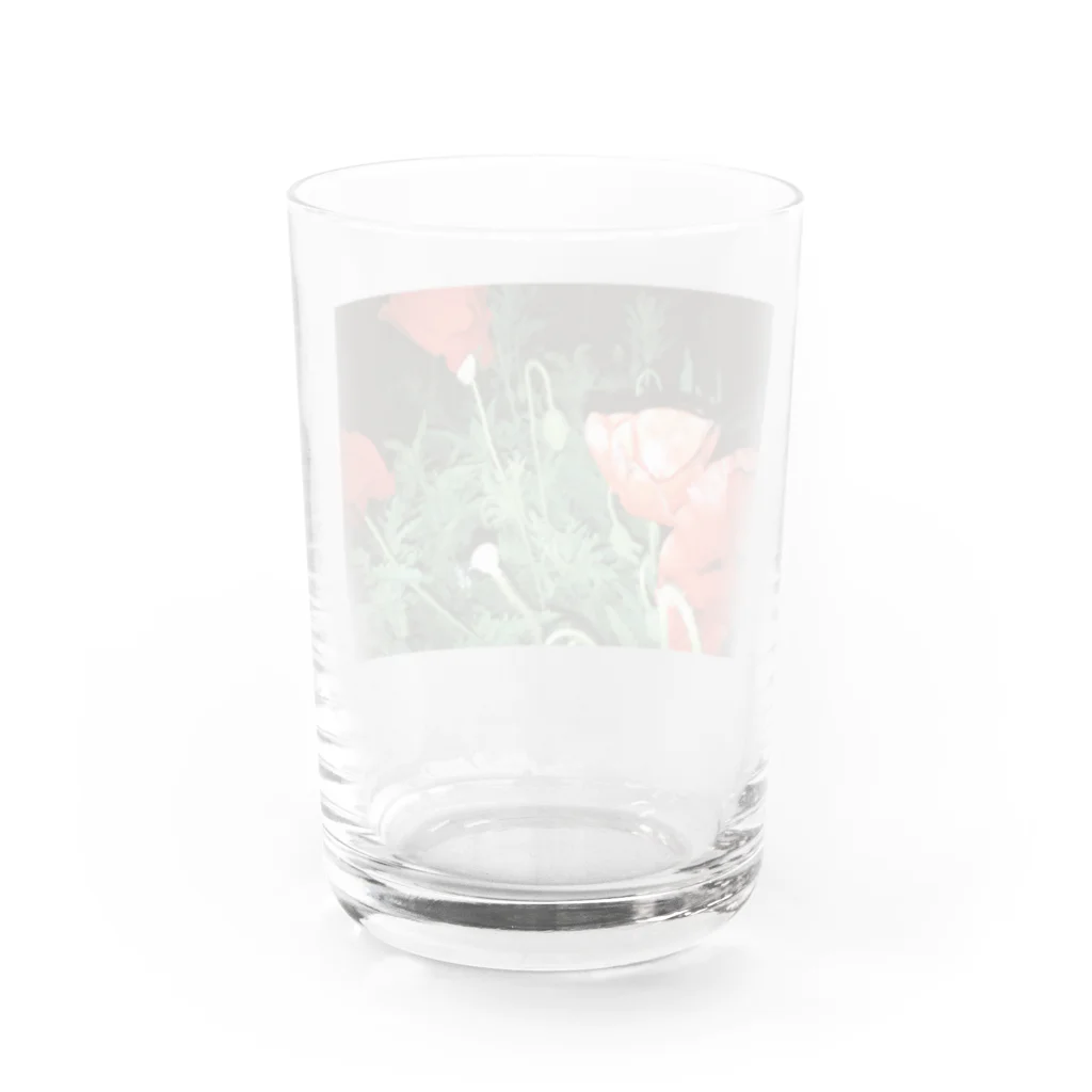 花屋　雲のぽぴーグラス Water Glass :back