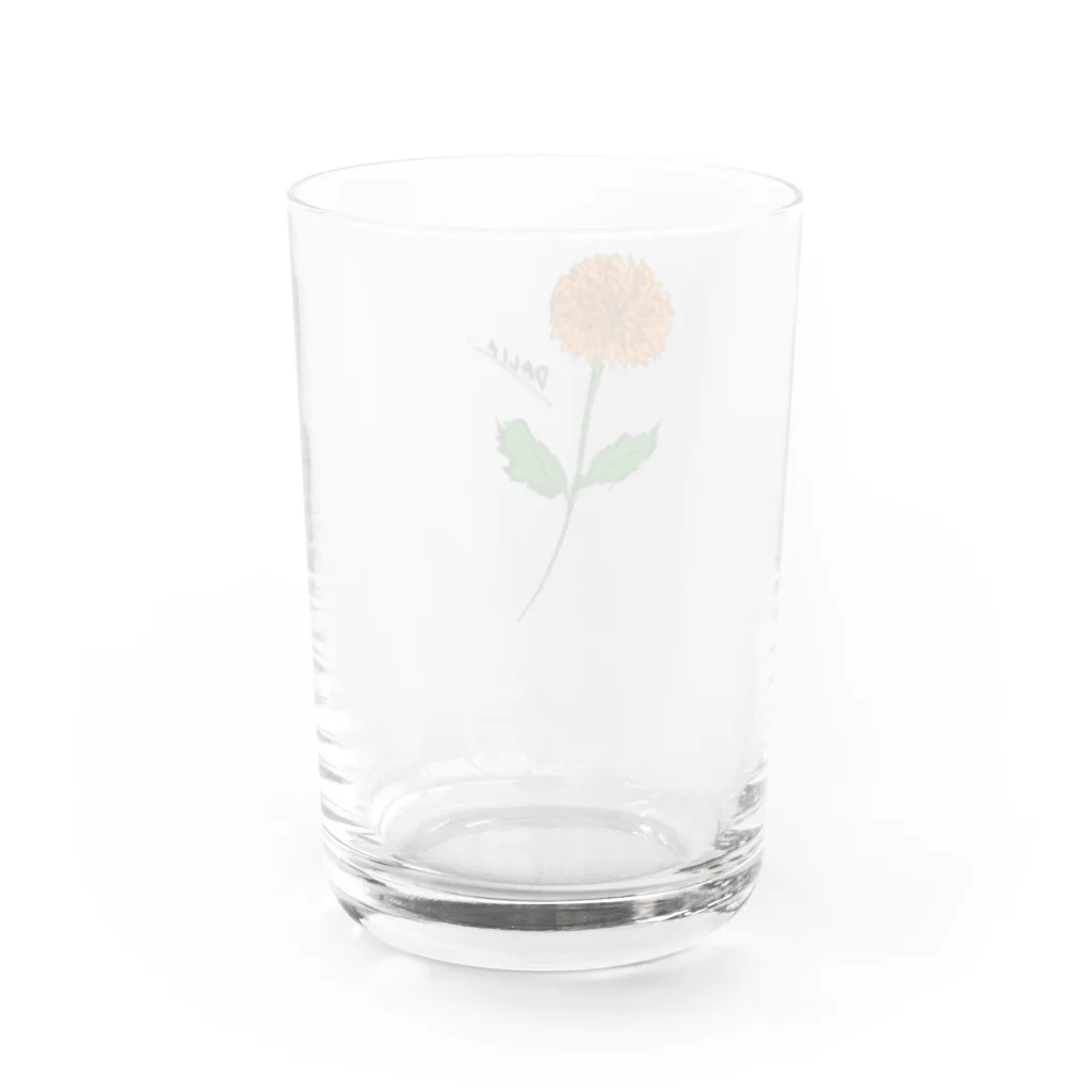 vepa_shopのお花の名前はダリア Water Glass :back