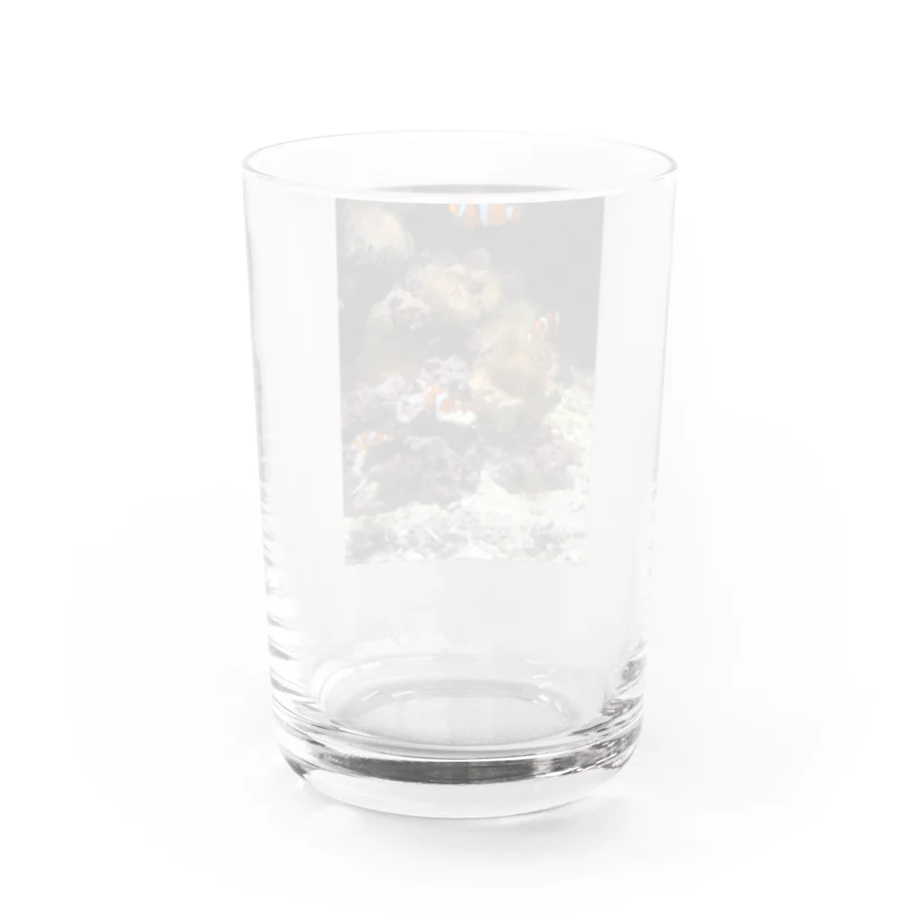 まるかん本舗のおさかな天国 Water Glass :back