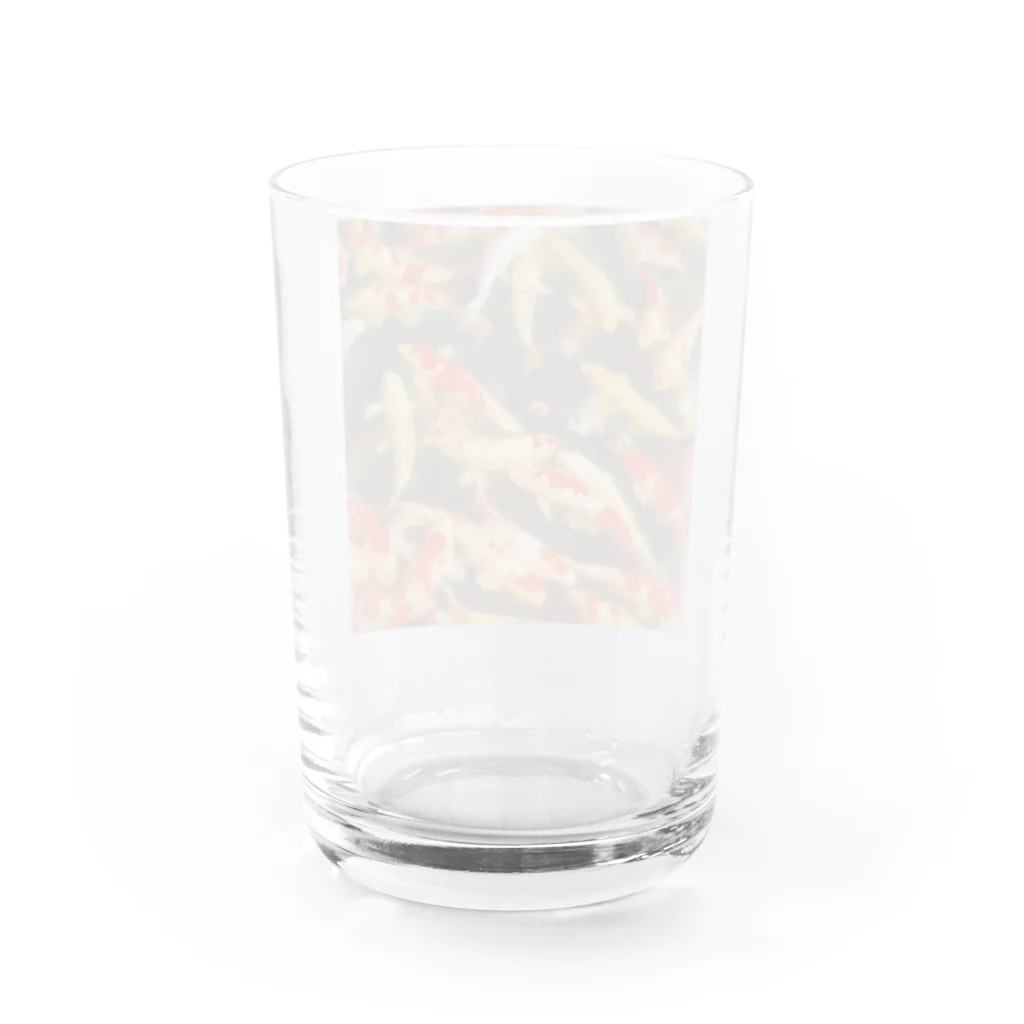 FumiProgrammerの鯉 Water Glass :back