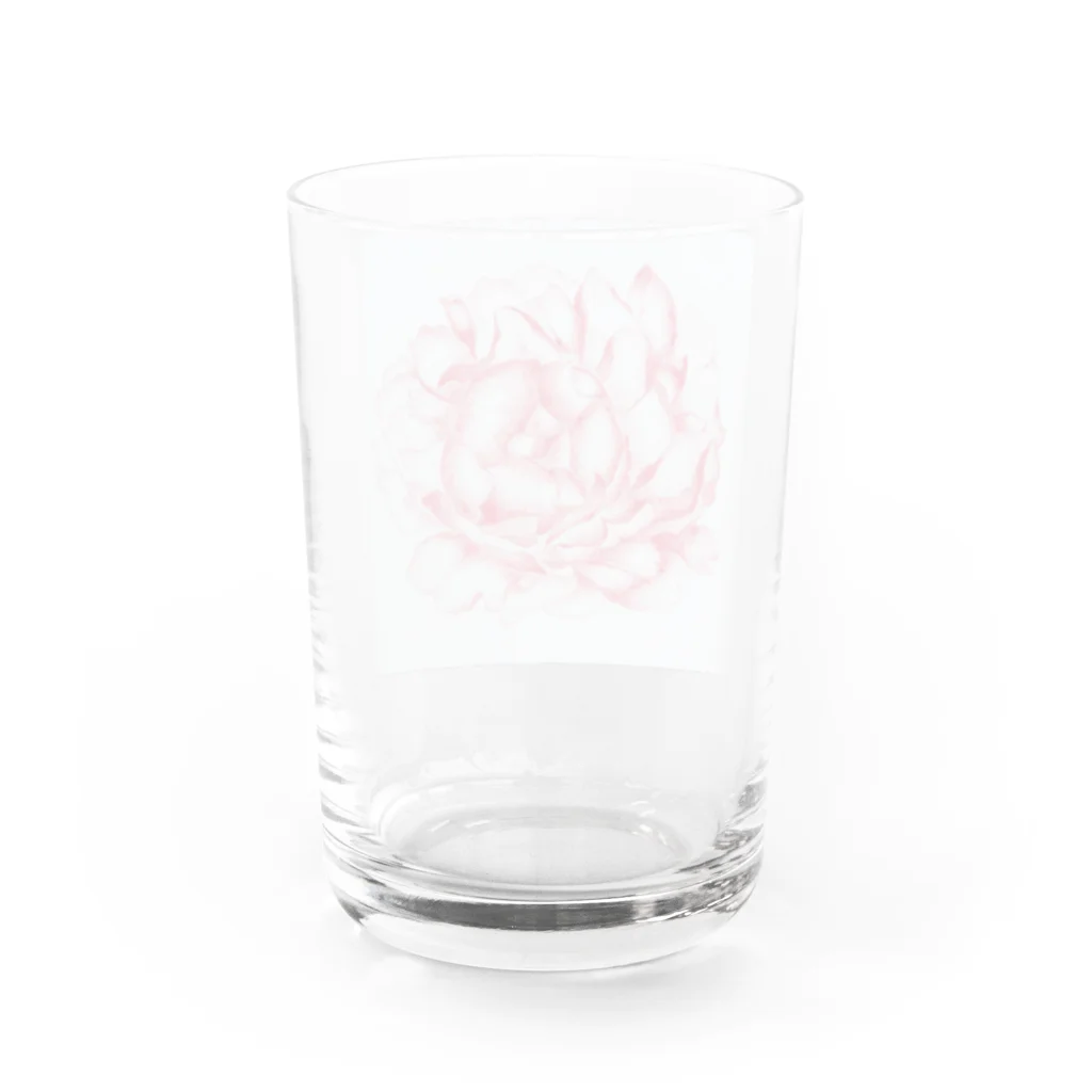 ピッチーの芍薬 peony Water Glass :back