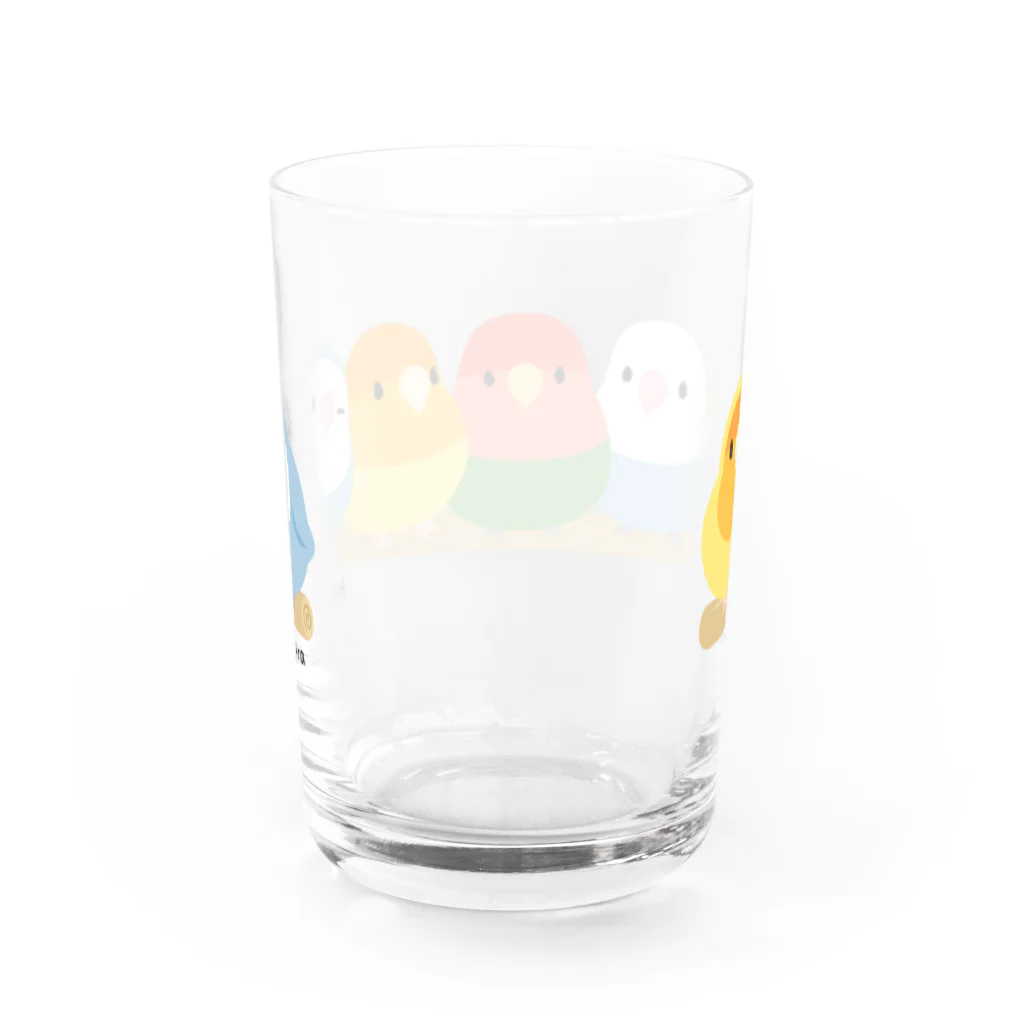TeaDrop.Cのコザクラインコ５（色変わり） Water Glass :back