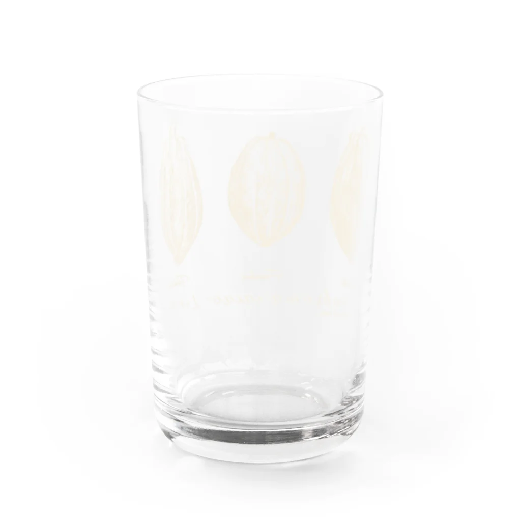 チョコ 部＠岩手のカカオポッド3種イラスト Water Glass :back