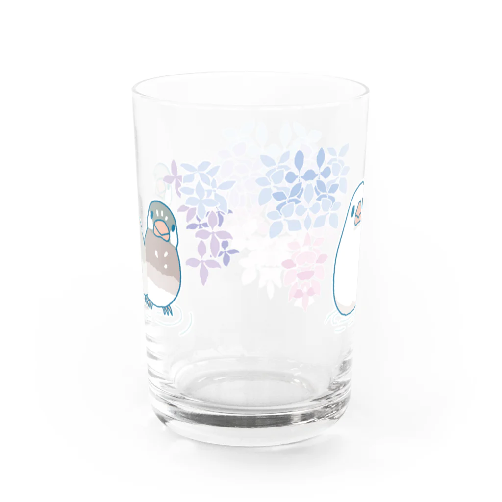 BUNCHOBOXのあじさい文鳥さん Water Glass :back