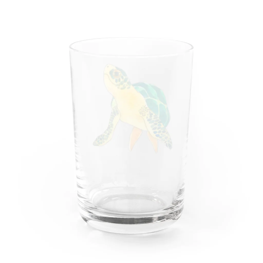 霜降りゾンビのウミガメちゃん Water Glass :back