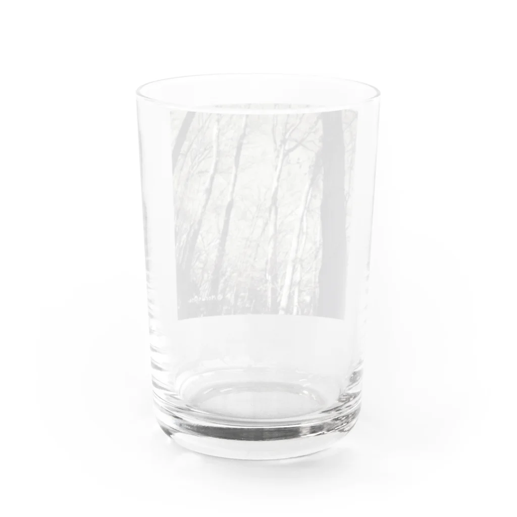 あおちゃん商会の冬の森 （モノクロ）　 Water Glass :back