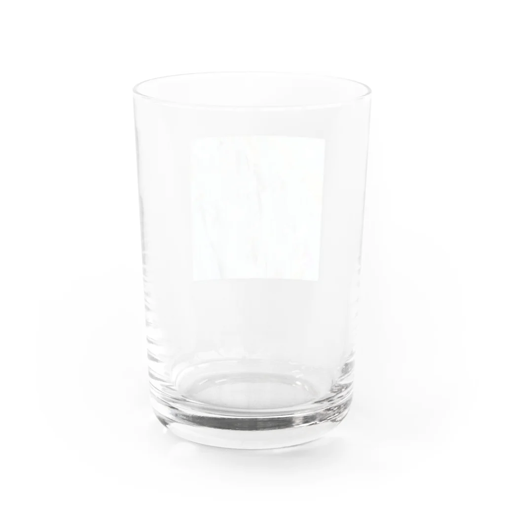 SuzukiCoのBianco シロ Water Glass :back