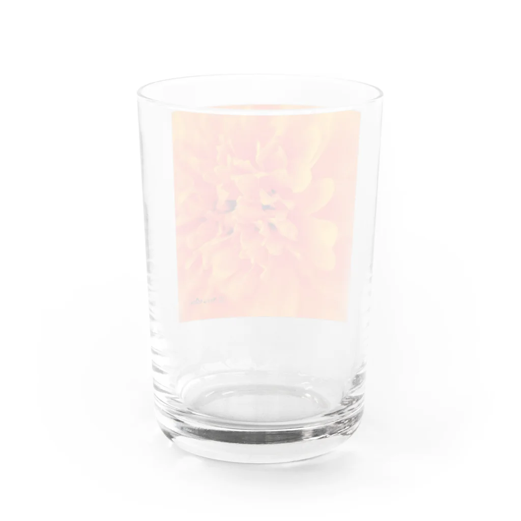 あおちゃん商会のMarigold （マリーゴールド）オレンジ Water Glass :back