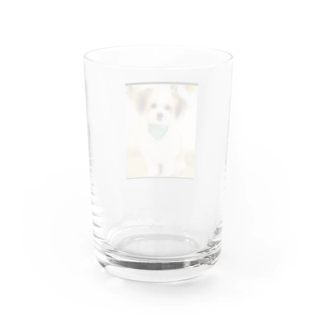 Honey～愛犬バカ～の愛犬クゥのいろいろ Water Glass :back