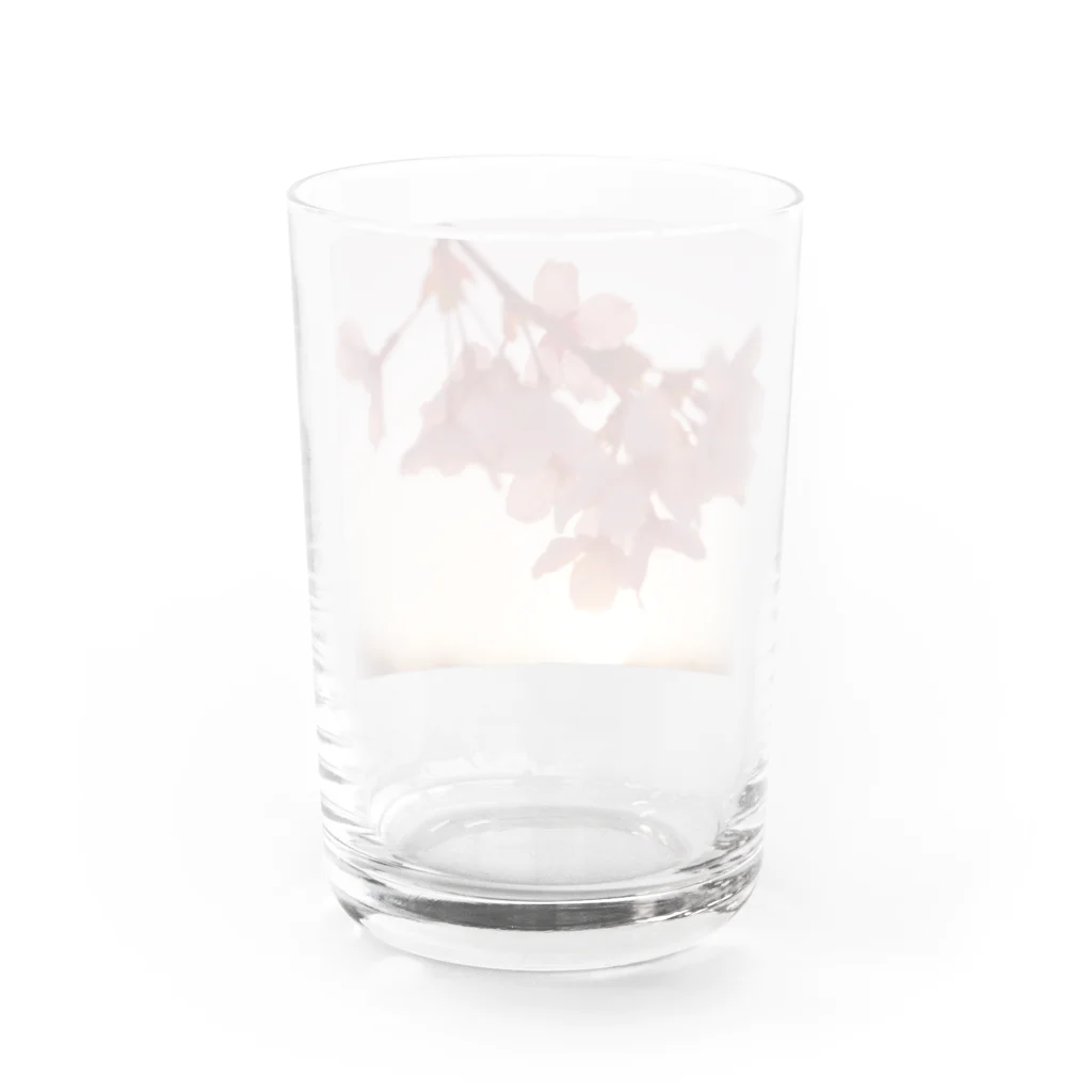 seiranVの桜と夕日 Water Glass :back