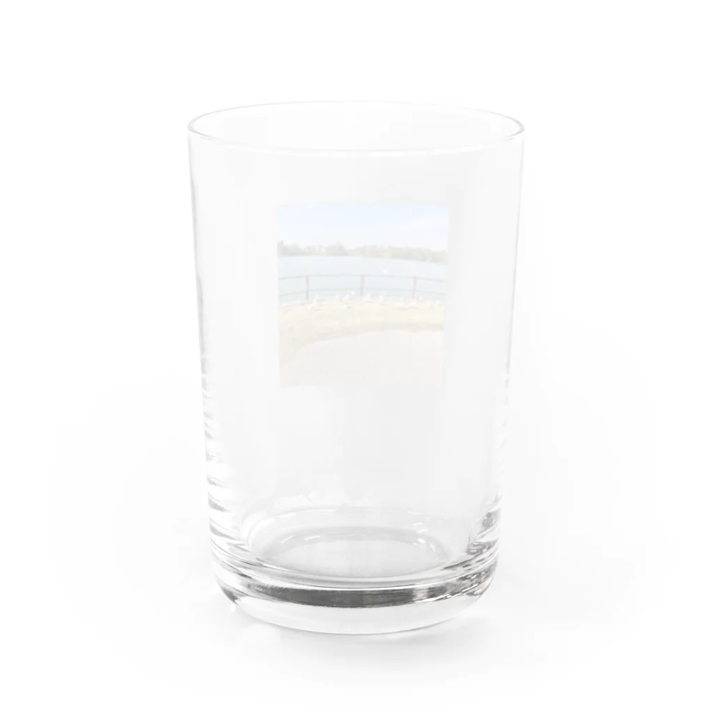 pm11:38の湖と鳥 Water Glass :back