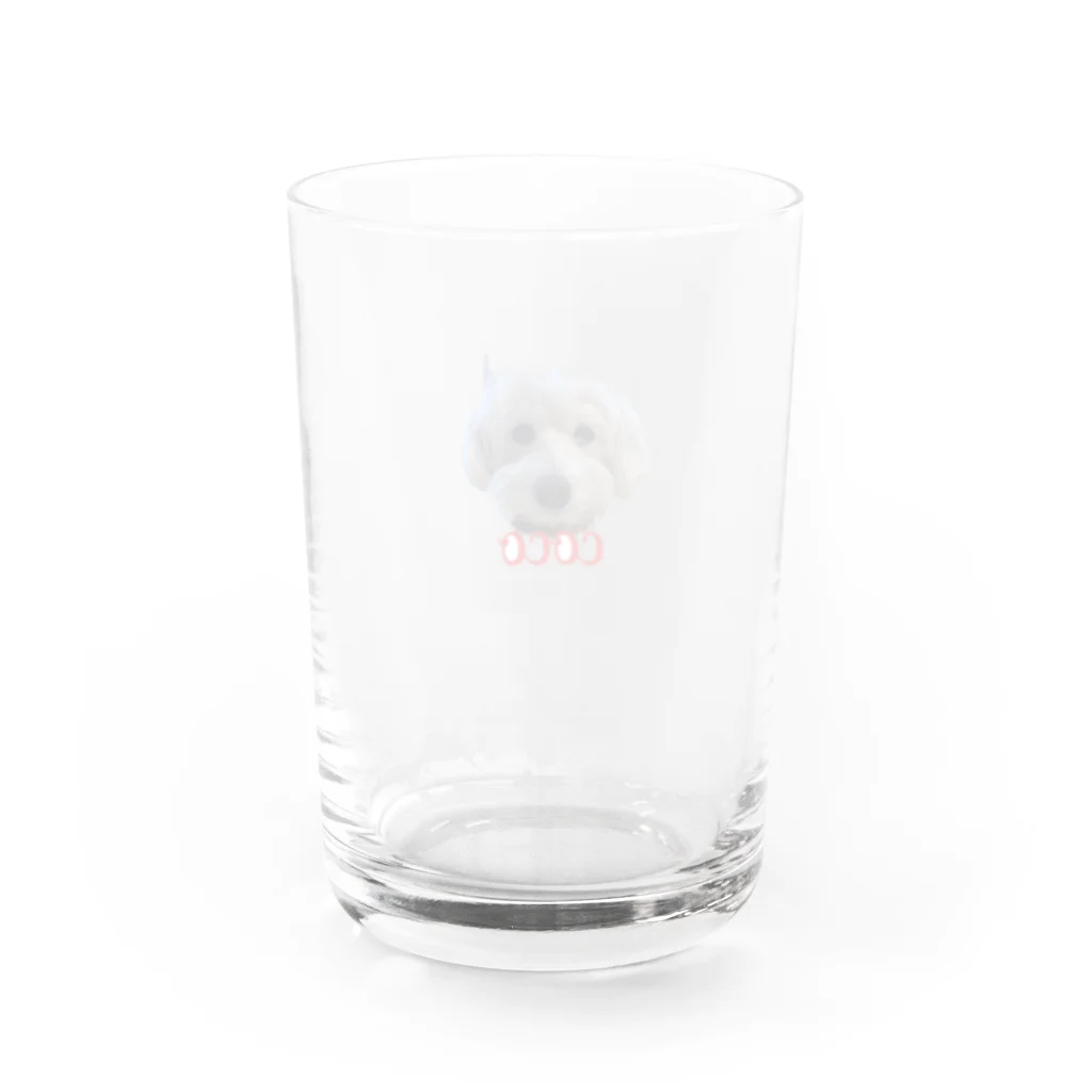 caicaiziのcoco Water Glass :back