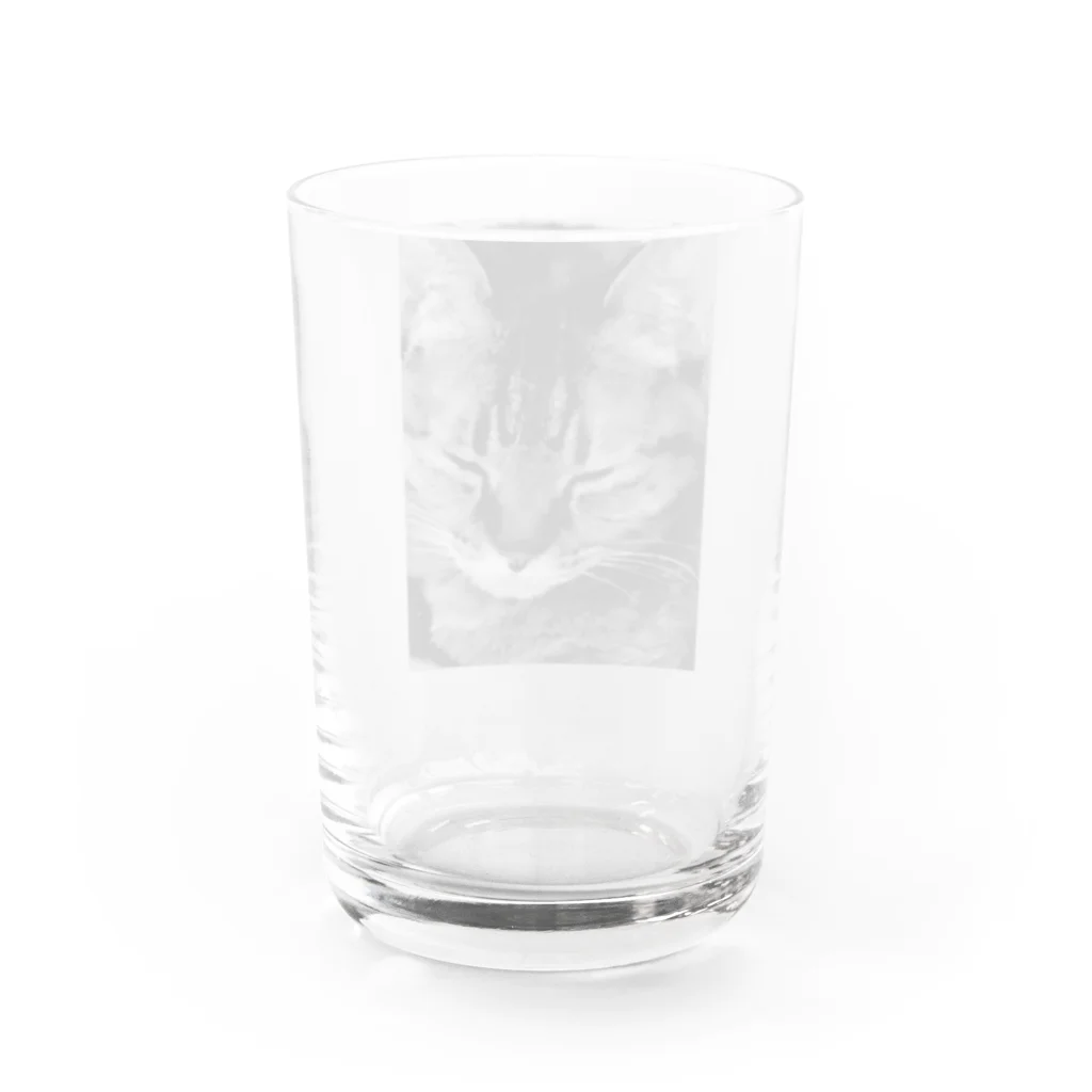 shop kochibiのモノクロ猫 Water Glass :back