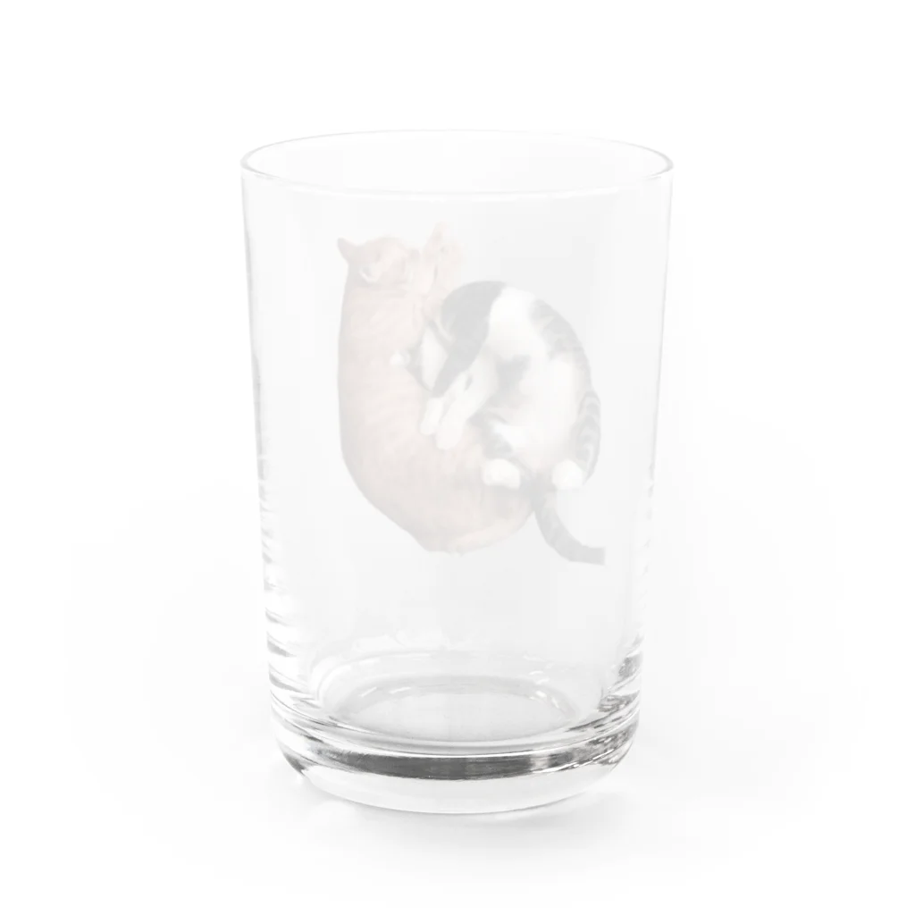 ナカムラショップのひとんちのねこ（にひき） Water Glass :back