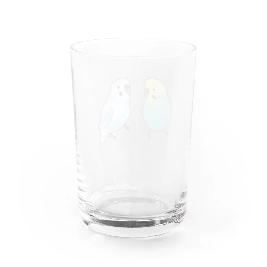 Talkingのセキセイインコ Water Glass :back