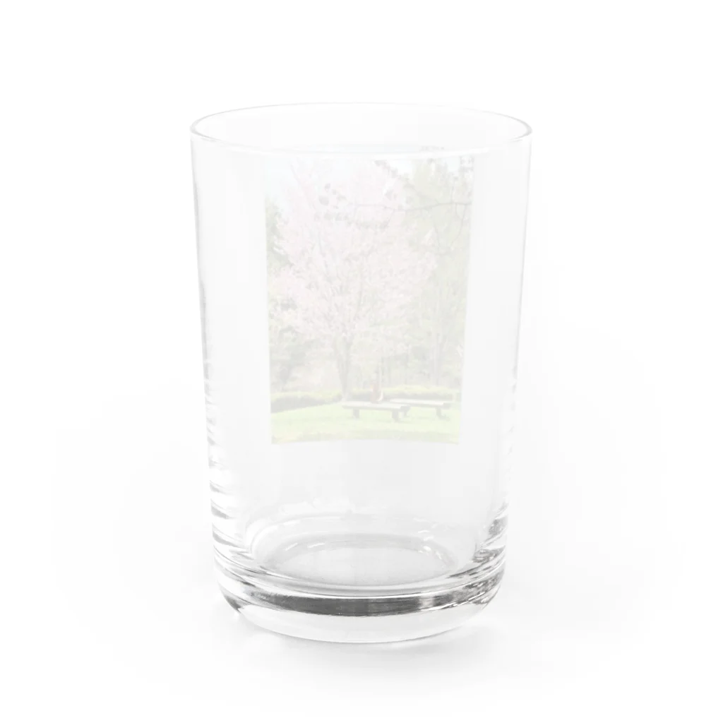 四色アペンド＋の春のりすちゃん Water Glass :back