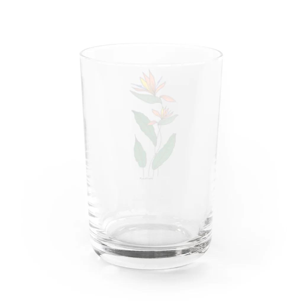 moguratatakiのBird of Paradise Water Glass :back