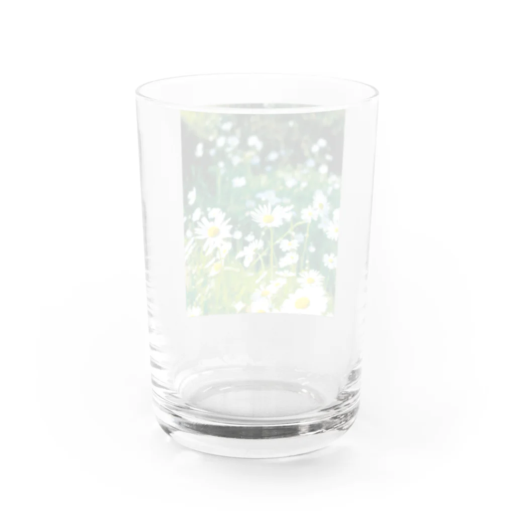akane_art（茜音工房）の癒しの風景（シャスタデイジー） Water Glass :back