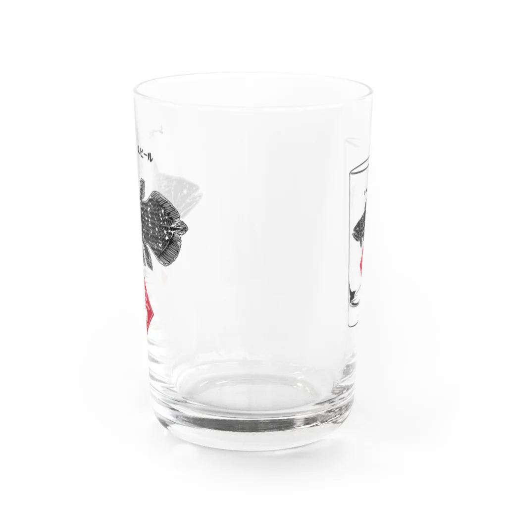 赤夏屋のシーラカンスビール Water Glass :back
