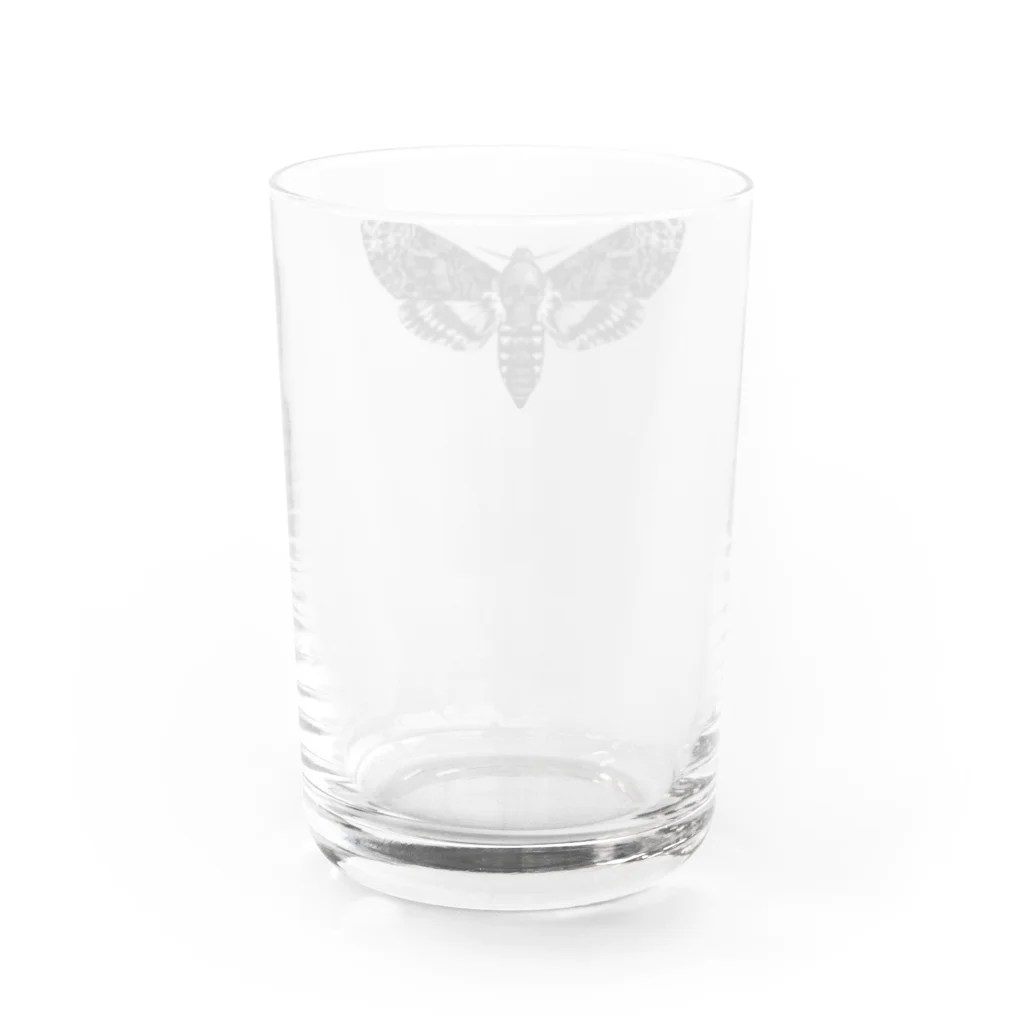 シャレコーベミュージアムのメンガタスズメ Water Glass :back