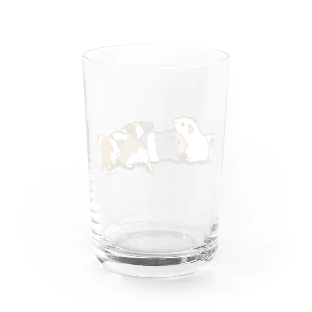 Lichtmuhleのふれあいモルモット01カラー Water Glass :back