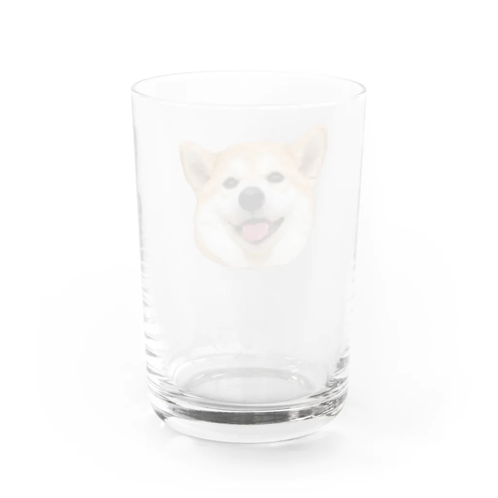 しば犬まる子とぽちのみせの柴犬のまるちゃん Water Glass :back