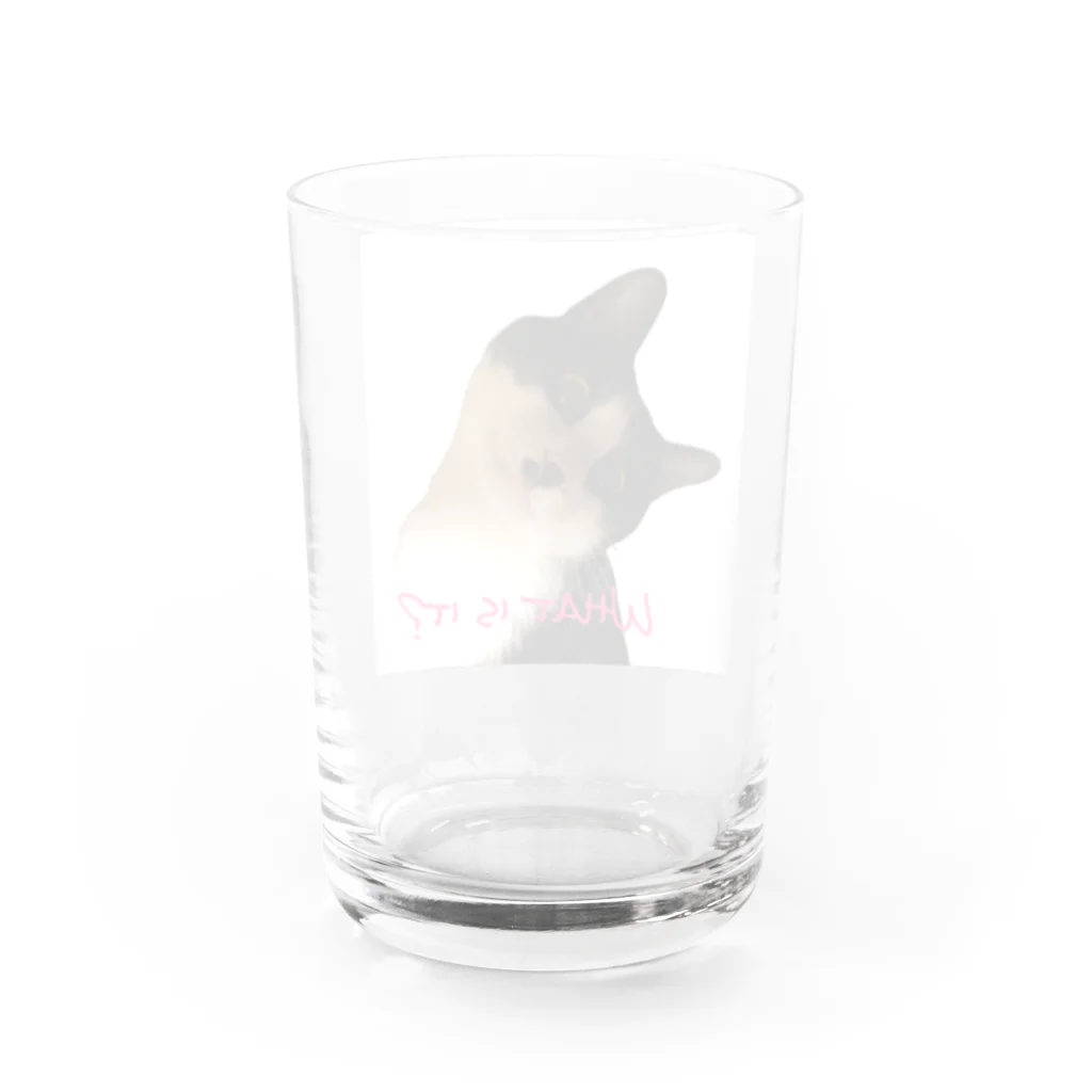 mooncatのMy cat R Water Glass :back