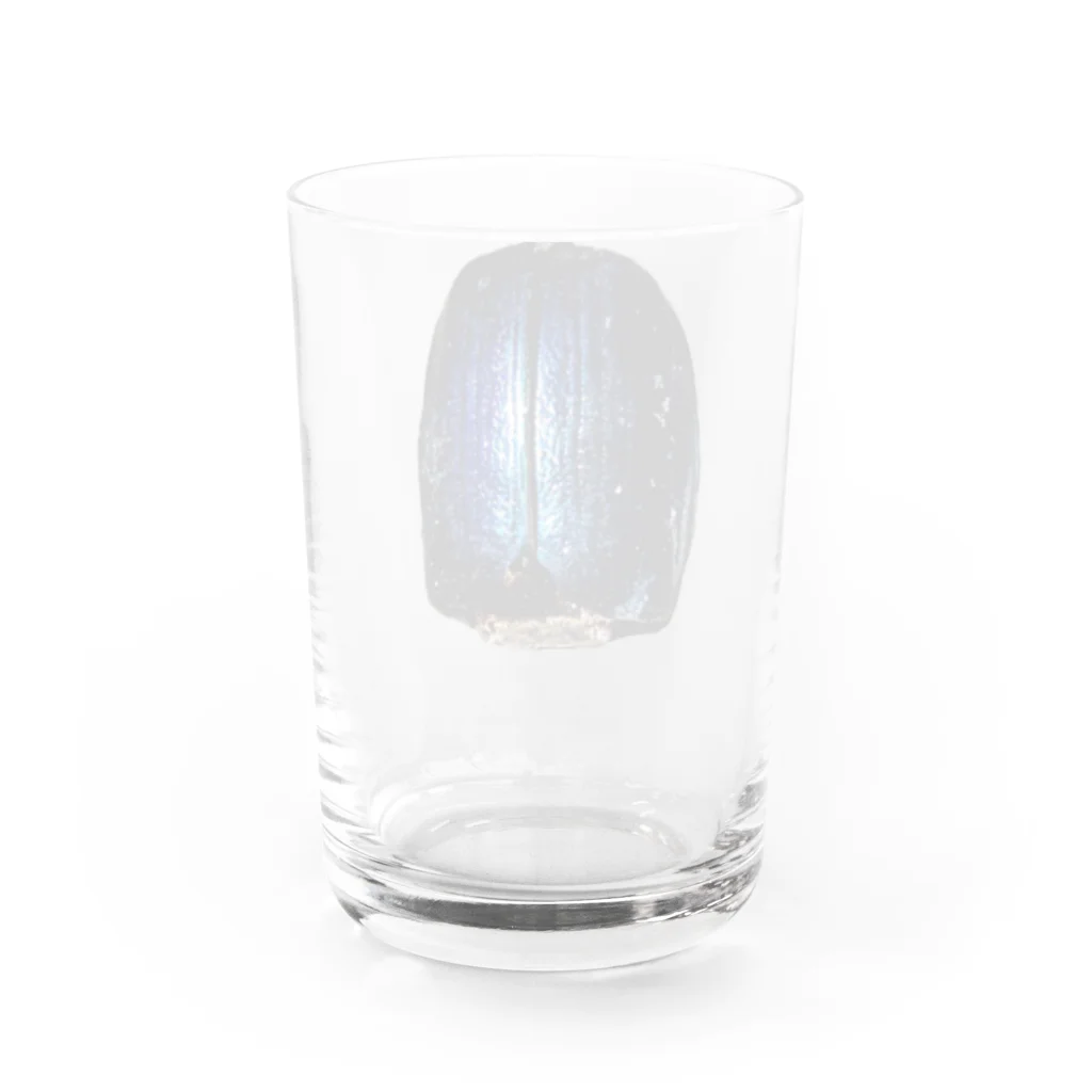 ふなり工房の甲沢 Water Glass :back