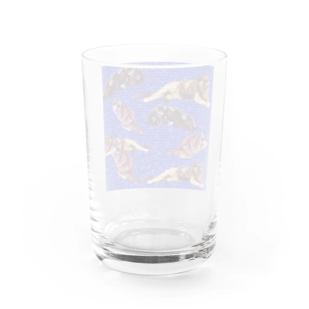 水彩屋のサビ猫で虎柄 Water Glass :back