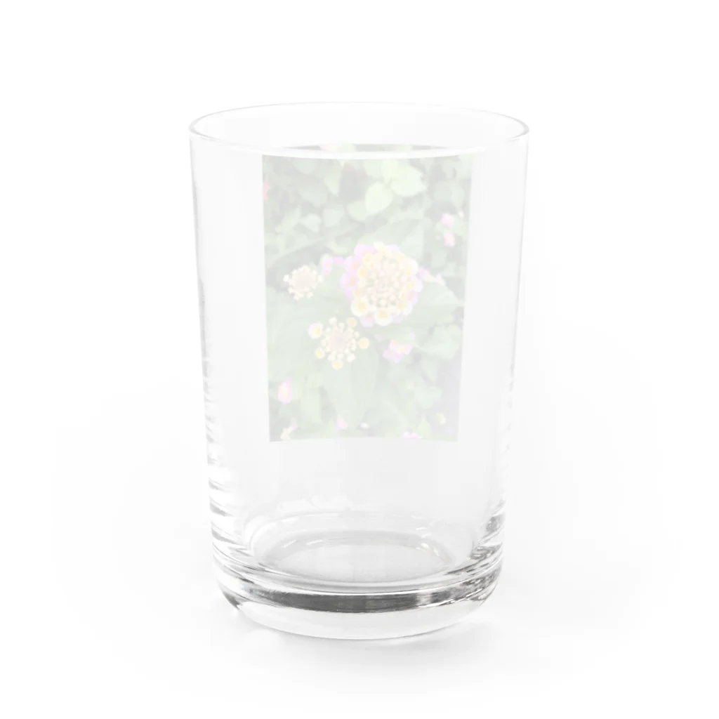 風薫る夏の大分の自然5 Water Glass :back