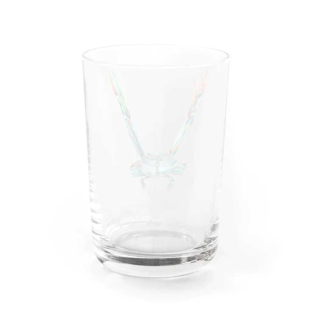 Botanical STUDIOの"V"  Wonderalphabet Water Glass :back