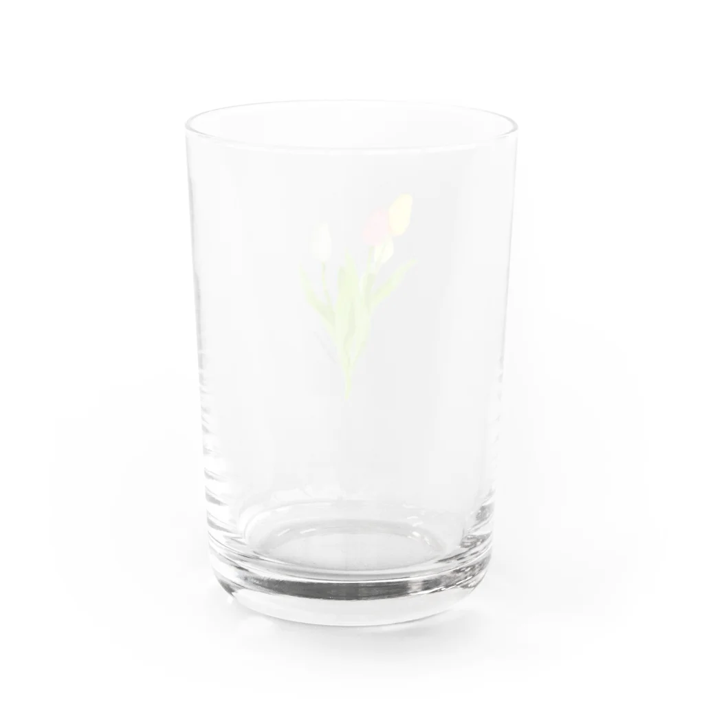もんちのチューリップ Water Glass :back