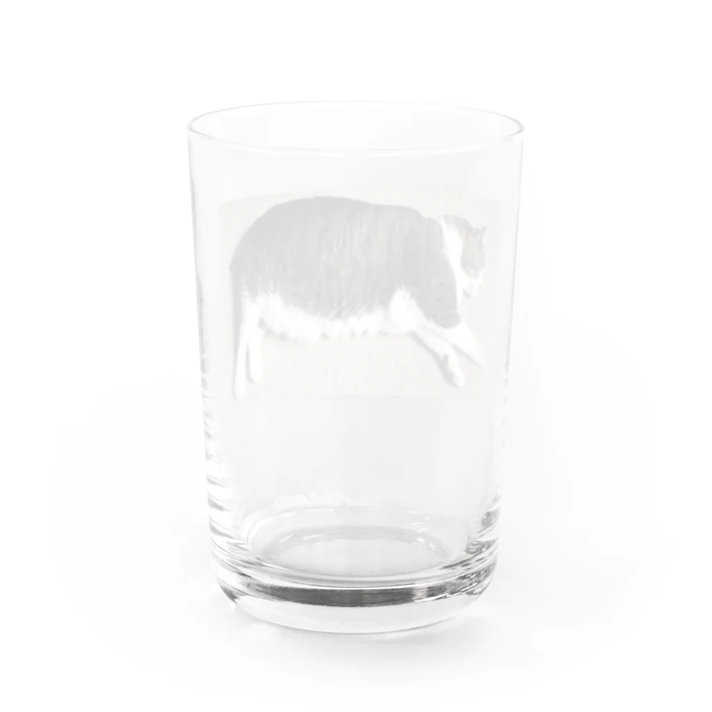 まさむねの姉のまさむね_2 Water Glass :back