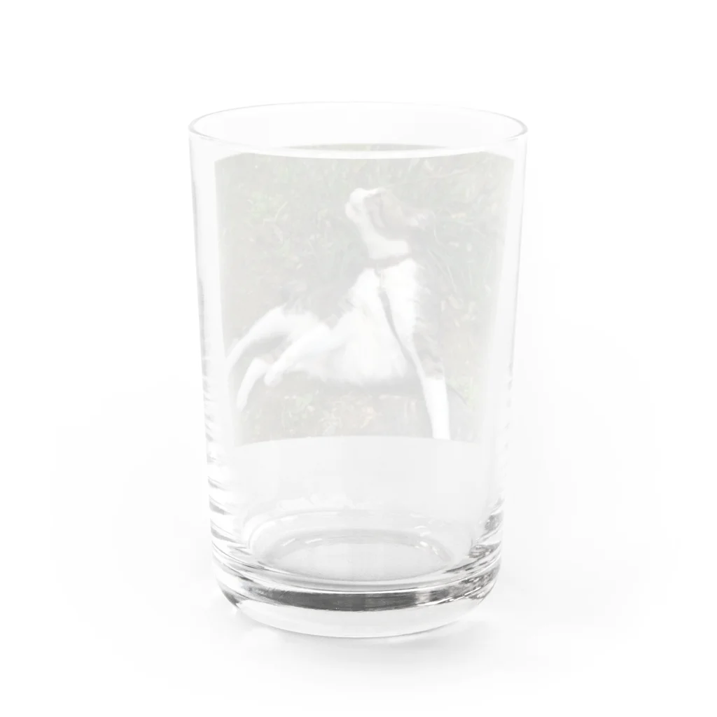 まさむねの姉の木の匂いをかぐまさむね Water Glass :back