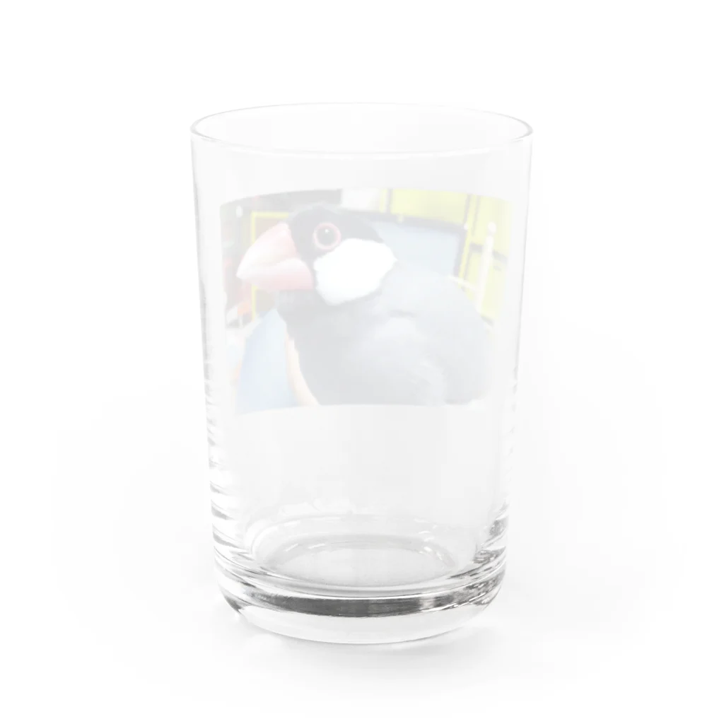 フラミンゴノリコののびちゃん⑥ Water Glass :back